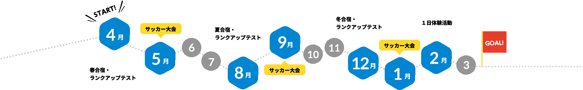 スケジュール